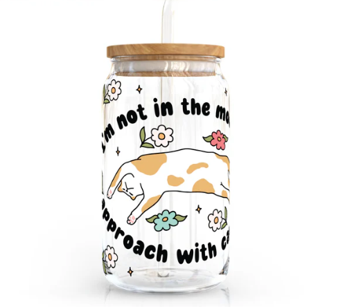 16 oz Cozy Cat Glass Cup
